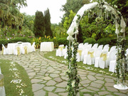  Wedding Planners In Florida